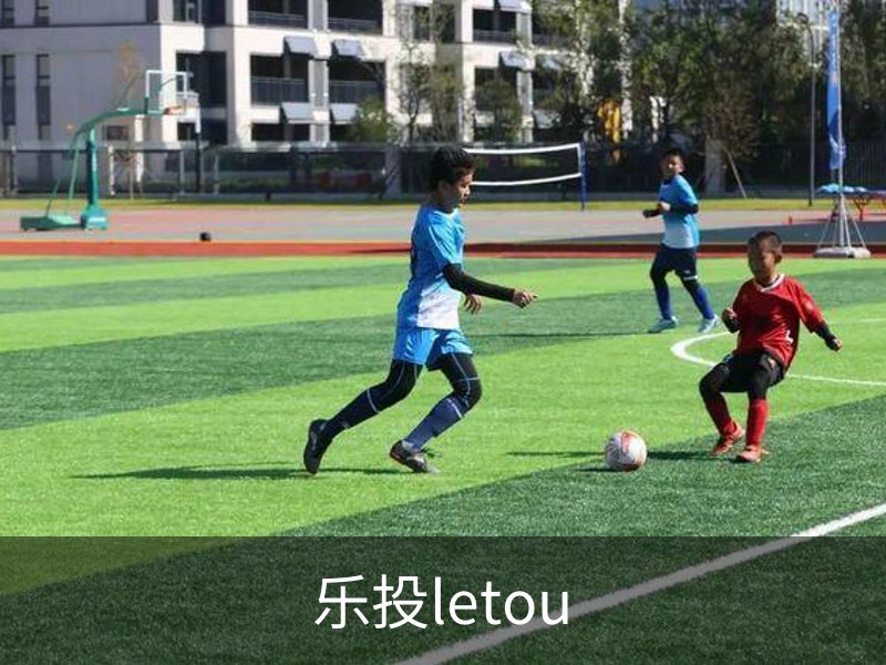 关于乐投letou